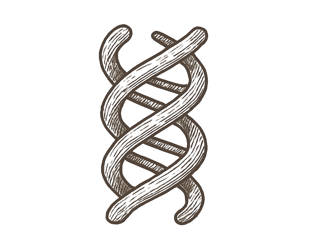 Black and white illustration of a DNA double helix on a white background